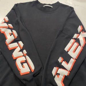 Alexander Wang sweatshirt